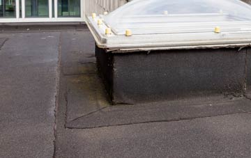 disadvantages of South Erradale flat roofs